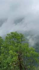 Hassa Şarlayan (Şarlağan) Şelalesi