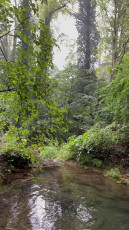 Hassa Şarlayan (Şarlağan) Şelalesi