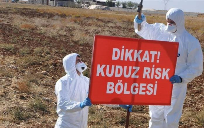 Kırıkhan’da Kuduz Vakası Kırıkhan’da Kuduz Vakası